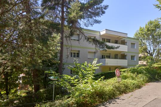 image Lisière 19